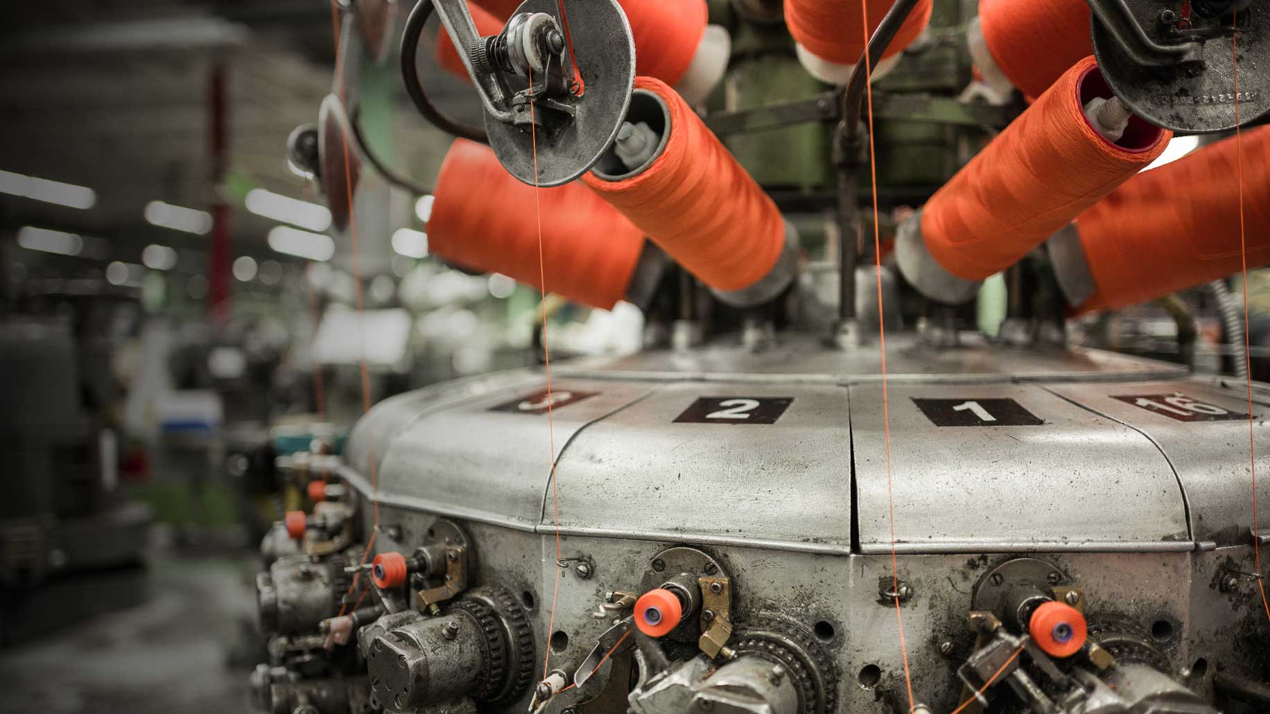 guidance--thread1_Paisley2